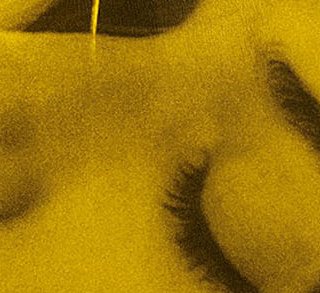 Mobile Homes - Vladimir de Fontenay - critique