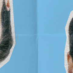 Rencontre avec le duo "Nicolas et Bruno" autour de leur film "Alter ego"