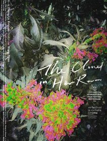 The Cloud in Her Room - Zheng Lu Xinyuan - critique