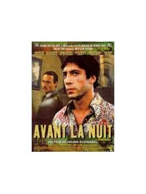 Avant la nuit - la critique