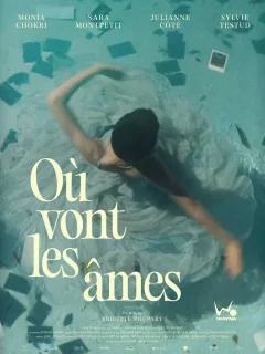 Où vont les âmes ? - Brigitte Poupart - critique