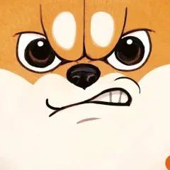 Shiba Inu rooms T.1 – Esu Oomori - la chronique BD