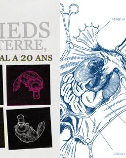 L'animal BD a 20 ans cette année