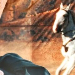 Pile ou face - Alessio Rigo de Righi, Matteo Zoppis - critique