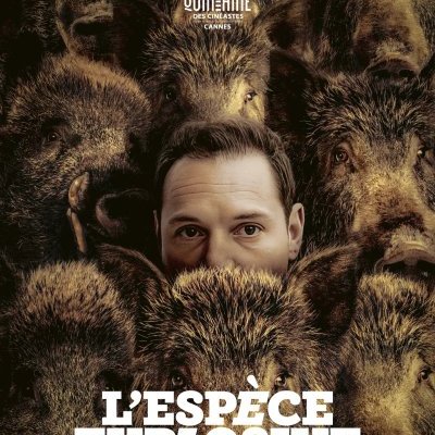 L'espèce explosive - Sarah Arnold - critique