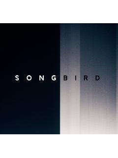L'inspiration virale de Michael Bay : Songbird