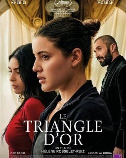 Le triangle d'or - Hélène Rosselet-Ruiz - critique