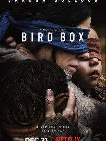 Bird Box - la critique de la production Netflix