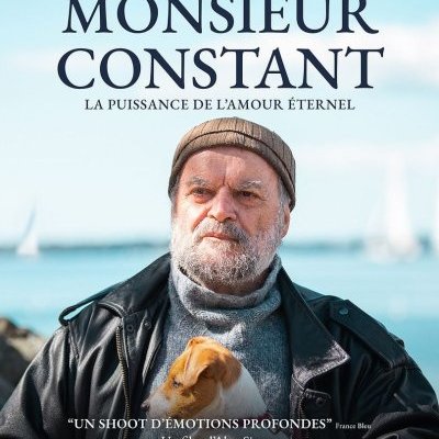 Monsieur Constant - Alan Simon - critique