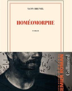 Homéomorphe - Yann Brunel - critique du livre