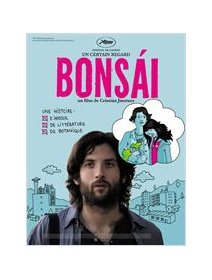 Bonsái - coup d'oeil