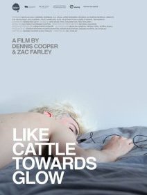 Like Cattle Towards Glow - La critique du film