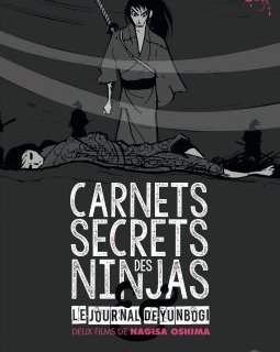 Carnets secrets des ninjas - la critique du film
