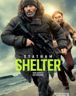 Shelter - Ric Roman Waugh - critique
