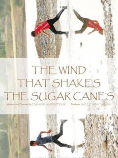 That Wind That Shakes the Sugar Canes - Ebrahim Ashrafpour - critique