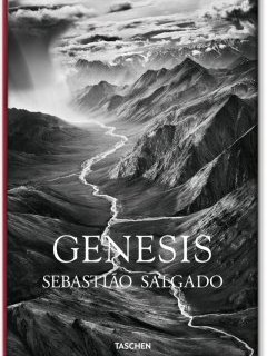 Le sel de la terre : le documentaire de Wim Wenders sélectionné au Festival de Cannes