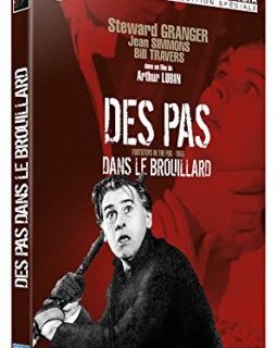 Des pas dans le brouillard - la critique + le test DVD