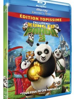 Kung Fu Panda 3 : un blu-ray au firmament technique