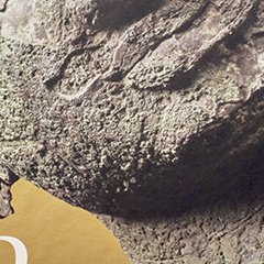 Bronzes royaux d'Angkor, un art du divin – sous la direction de Pierre Baptiste, David Bourgarit, Brice Vincent et Thierry Zéphyr - chronique livre