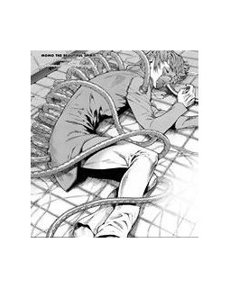 Momo, du conte au manga