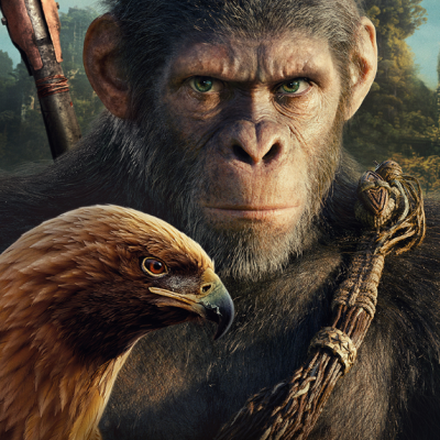 Semaine du 8 mai 2024 : les sorties en salle