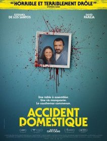 Accident domestique - Caye Casas - critique