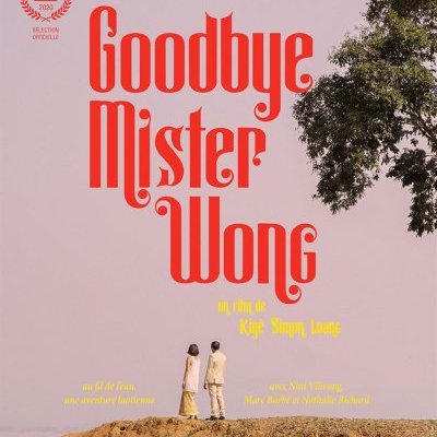 Goodbye Mister Wong - Kiyé-Simon Luang - critique