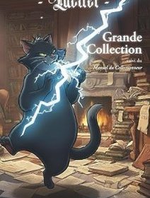 La grande collection : suivi du Manuel du collectionneur - Denis Blanchot - critique