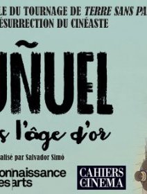 Buñuel après l'âge d'or - la critique du film