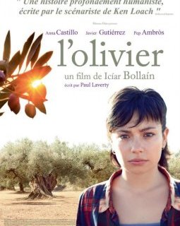 L'Olivier - la critique du film