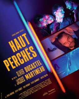 Haut perchés - Olivier Ducastel et Jacques Martineau - critique (contre)