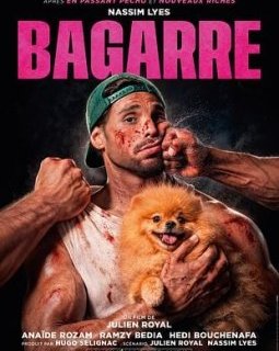 Bagarre - Julien Royal - critique
