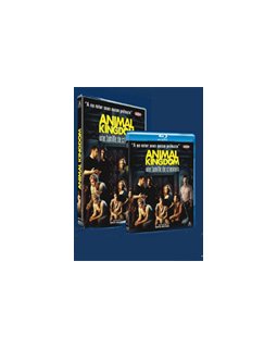 Animal Kingdom, enfin en DVD !