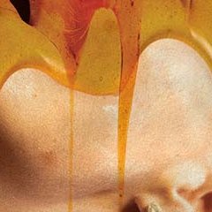 Bugonia - Yórgos Lánthimos - critique 