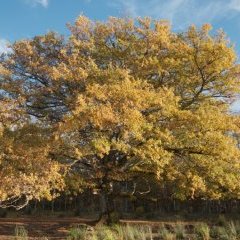 spip-slider spip-slider