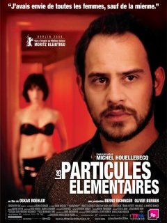 Les particules élémentaires - la critique