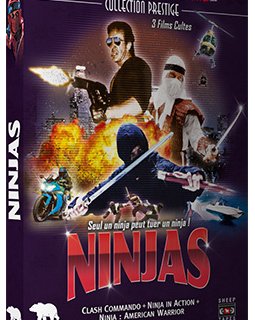 Coffret Ninjas chez Artus et Nanarland