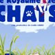 Le royaume des chats 