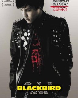 Blackbird - la critique