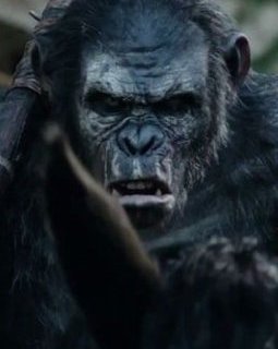 Box-office France : La planète des singes l'Affrontement grimpe sur le podium annuel