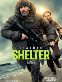 Shelter - Ric Roman Waugh - critique