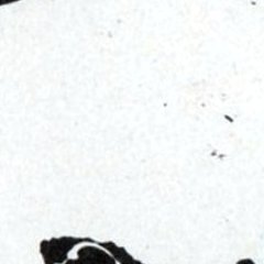 Serpico - Sidney Lumet - critique