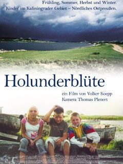 Fleurs de sureau - la critique