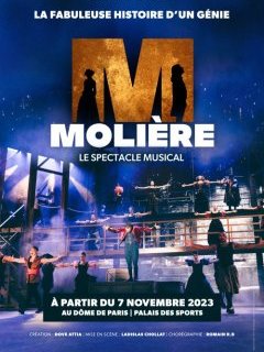 Molière, le spectacle musical - Ladislas Chollat - critique