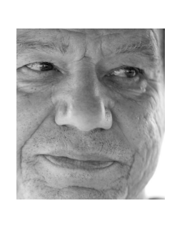 Hommage à John mcTiernan à Deauville