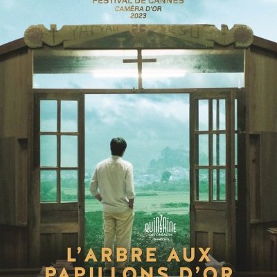 L'arbre aux papillons d'or - Pham Thiên Ân - critique