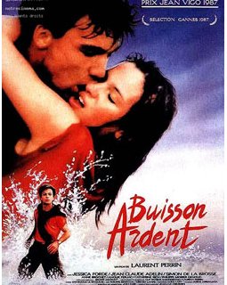 Laurent Perrin, décès d'un réalisateur rare