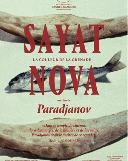 Sayat Nova - Sergei Paradjanov - critique
