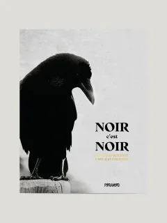 Noir, c'est noir, les corbeaux dans l'art et le folklore – Angus Hyland et Caroline Roberts - chronique livre
