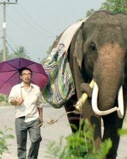 Pop Aye : bande-annonce